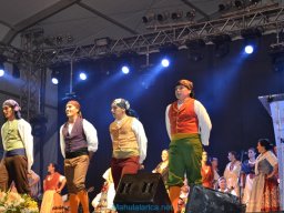 Festival de Folkore en Mula